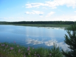 Maisema2005