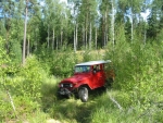 184-8477_IMG