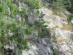 184-8495_IMG