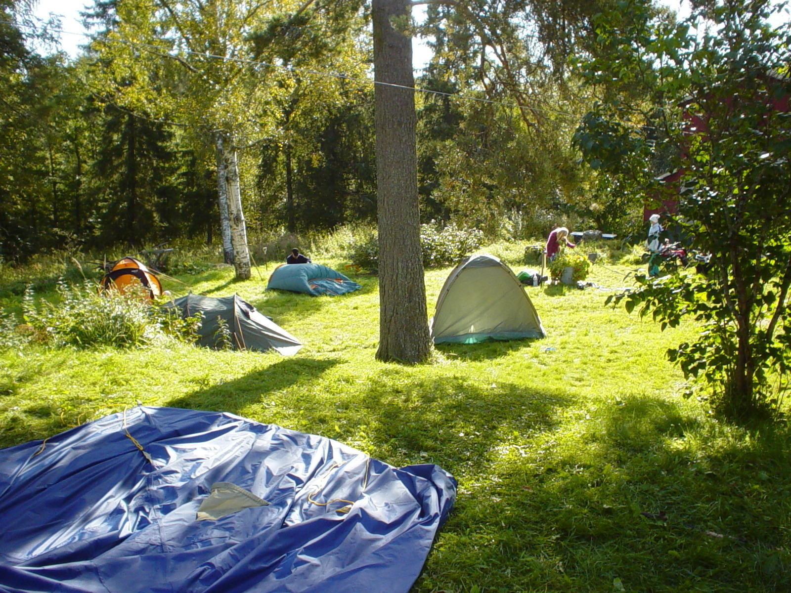 DSC01366