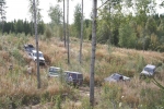 teisko53cv
